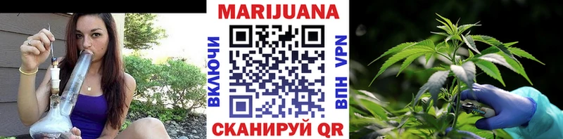 кракен маркетплейс  Ленинградская  Бошки марихуана индика  купить наркотик 